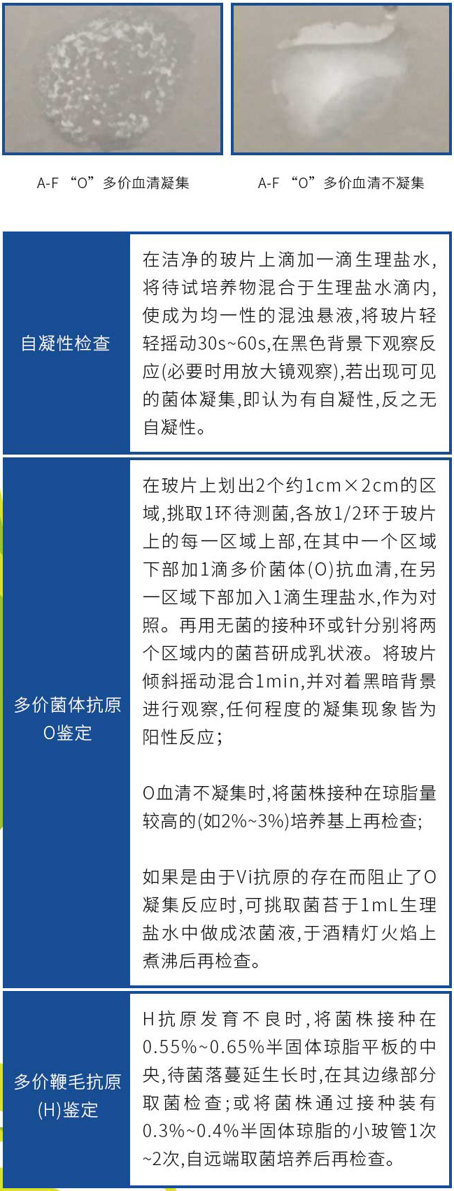 血清试验