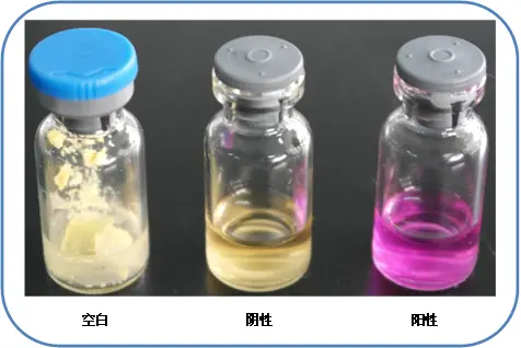 尿素酶试验