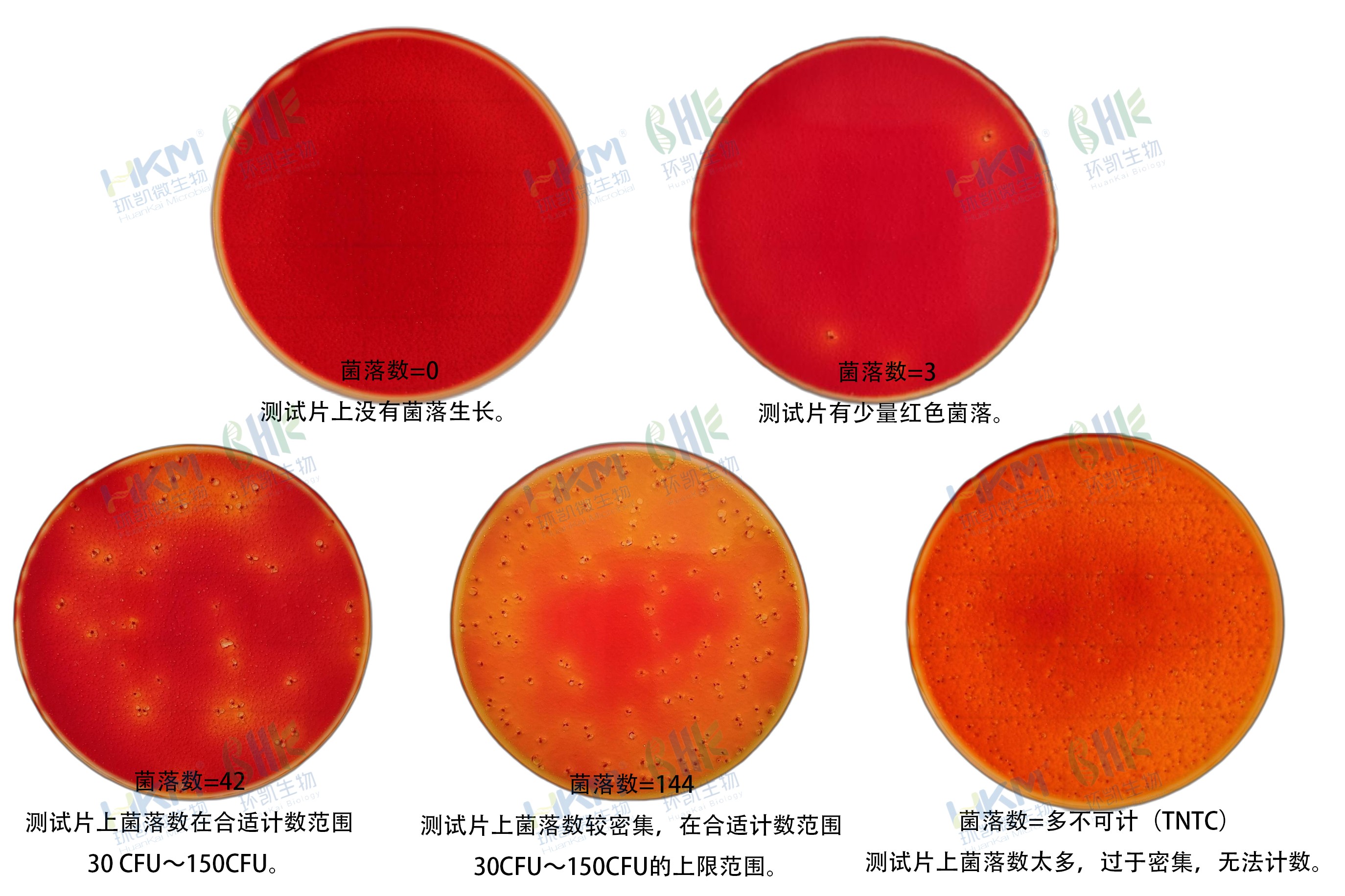 HandyPlate®大肠菌群测试片判读手册