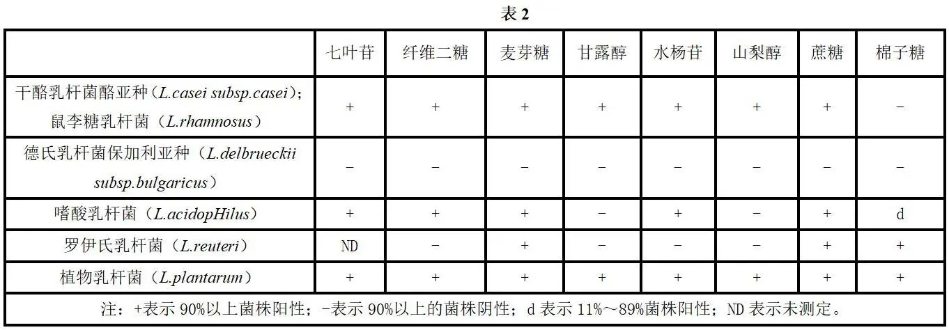 乳杆菌生化鉴定特征