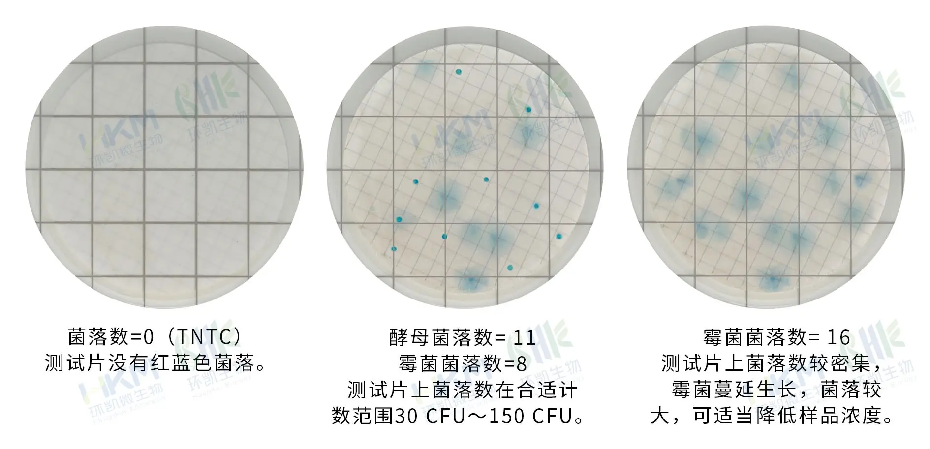 HandyPlate®快速霉菌酵母测试片(滤膜法) 判读手册