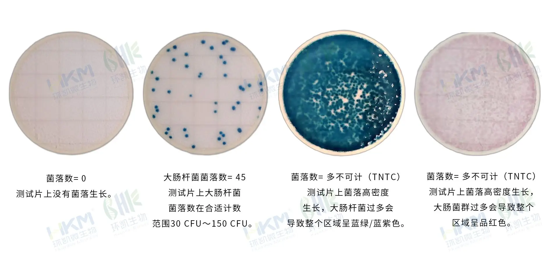 HandyPlate®大肠杆菌&大肠菌群测试片