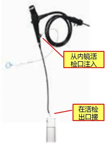 采样示意图