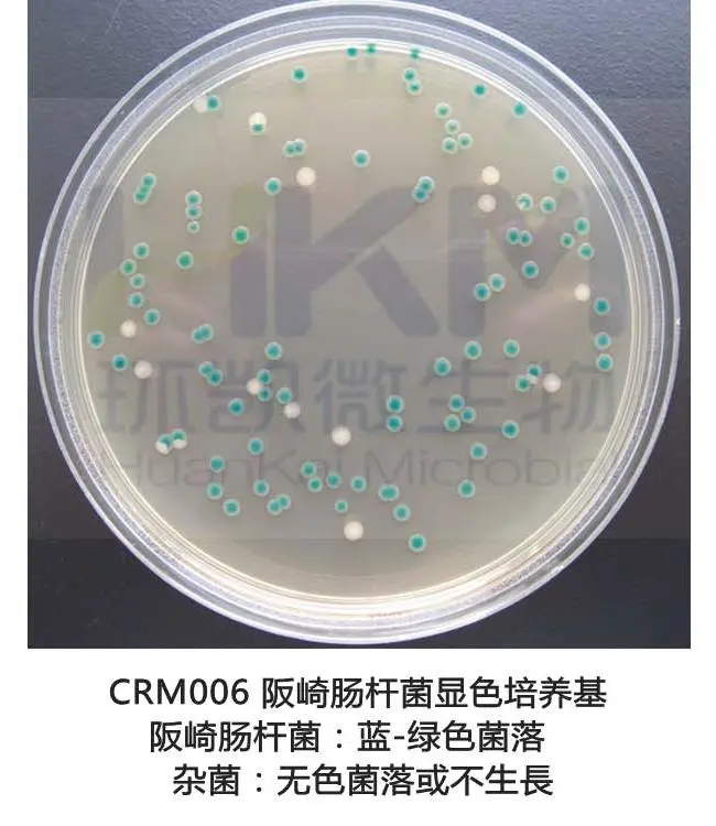 阪崎克罗诺杆菌显色培养基(DFI琼脂)