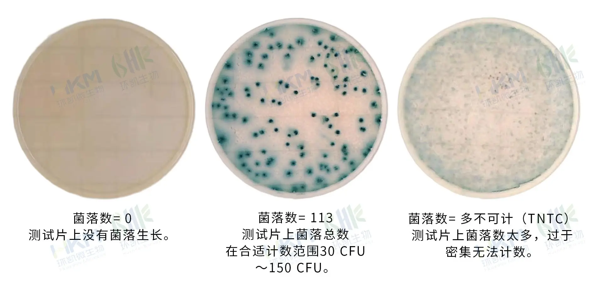 HandyPlate®克罗诺杆菌测试片