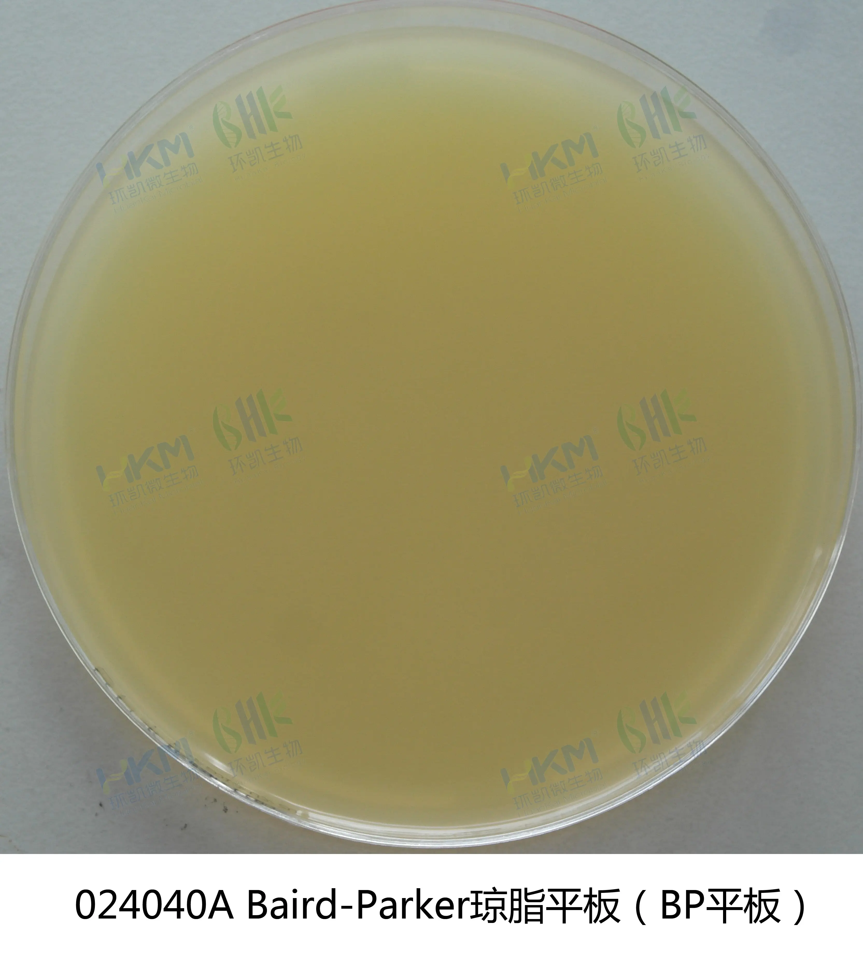 024040A Baird-Parker琼脂平板 90mm×20个
