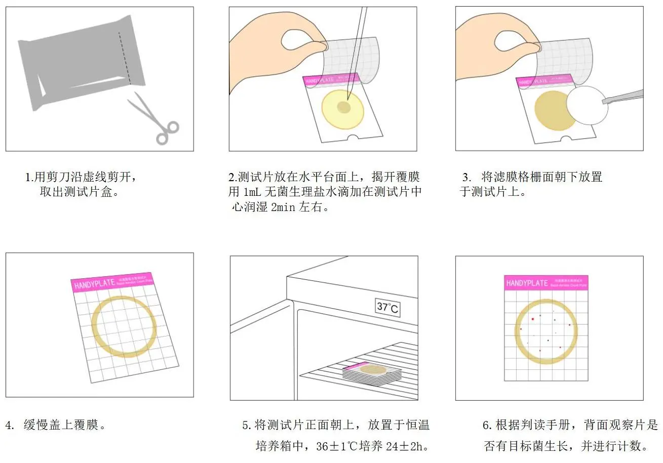 HandyPlate®快速菌落总数测试片(滤膜法) 操作图解