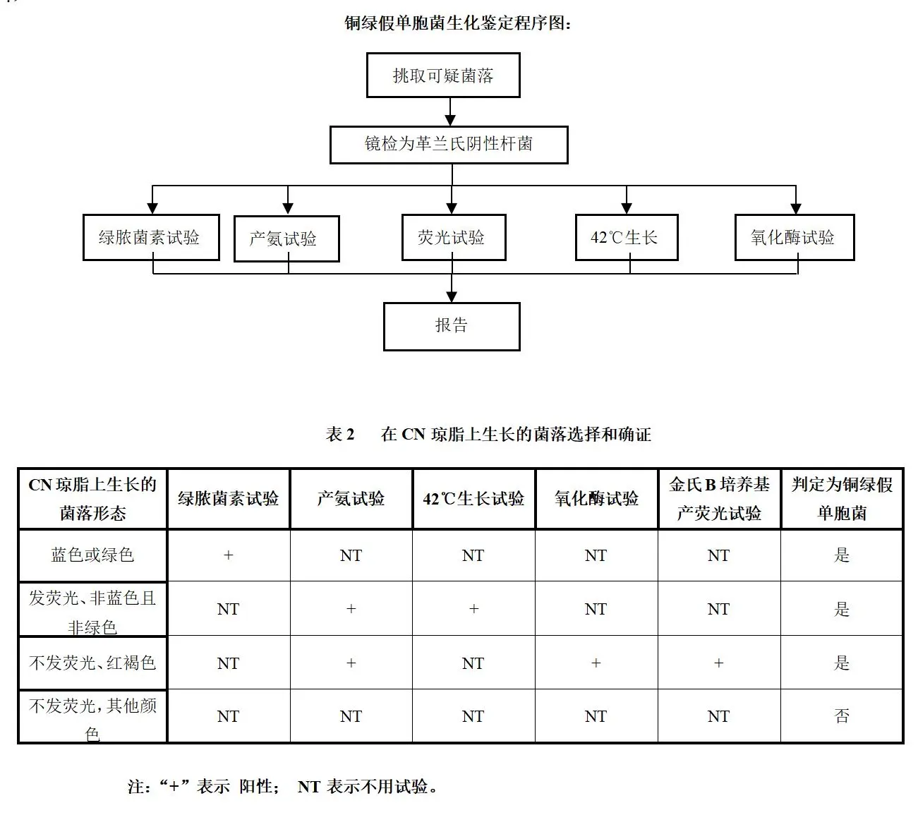 铜绿假单胞菌的生化鉴定程序（见下图）和生化鉴定特征
