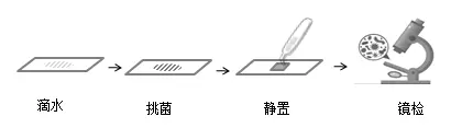 直接观察法