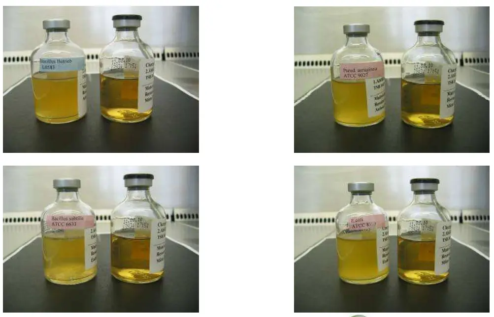 硫乙醇酸盐培养基(FTM)