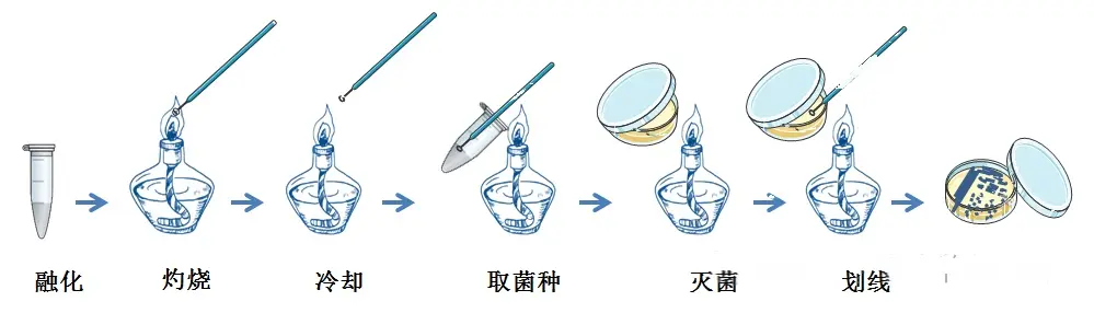 平板划线法步骤