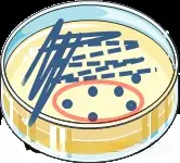 平板划线目的