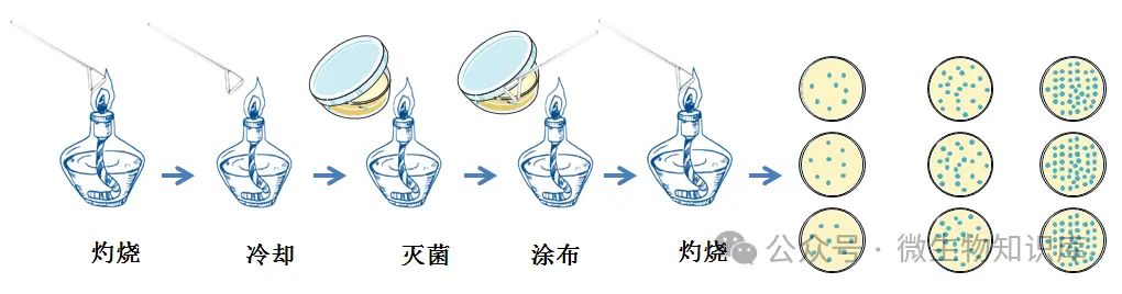 涂布