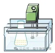 上层培养基培养基