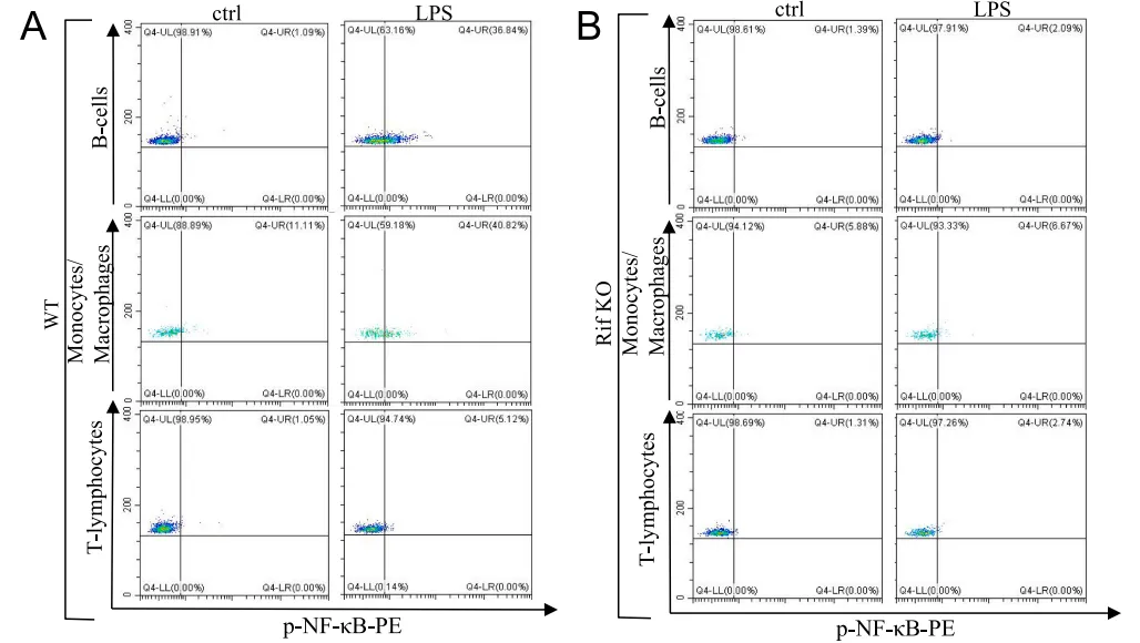 用0.25μg/106 cells 7-AAD复染，流式检测计算细胞死亡率
