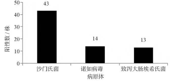 2023年潍坊市食源性疾病病原体分布