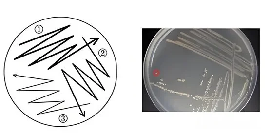 三区平板划线图 三区平板划线图