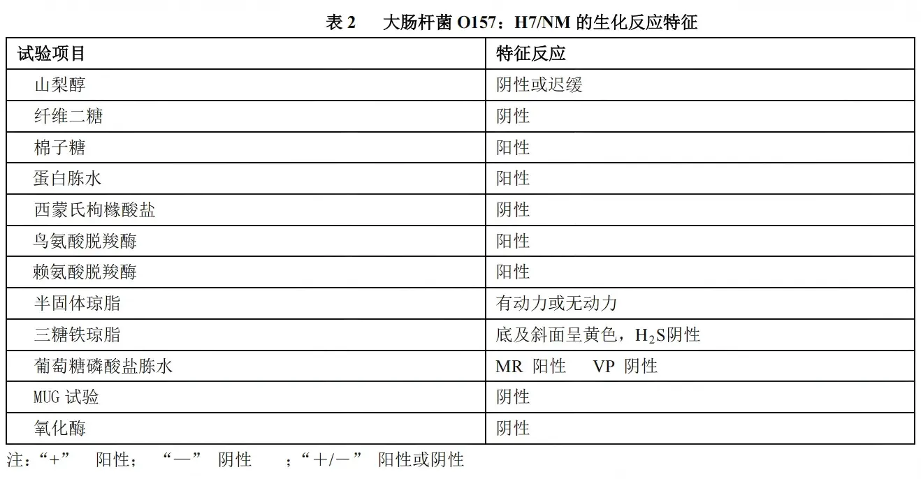 大肠杆菌O157:H7/NM 的生化反应特征