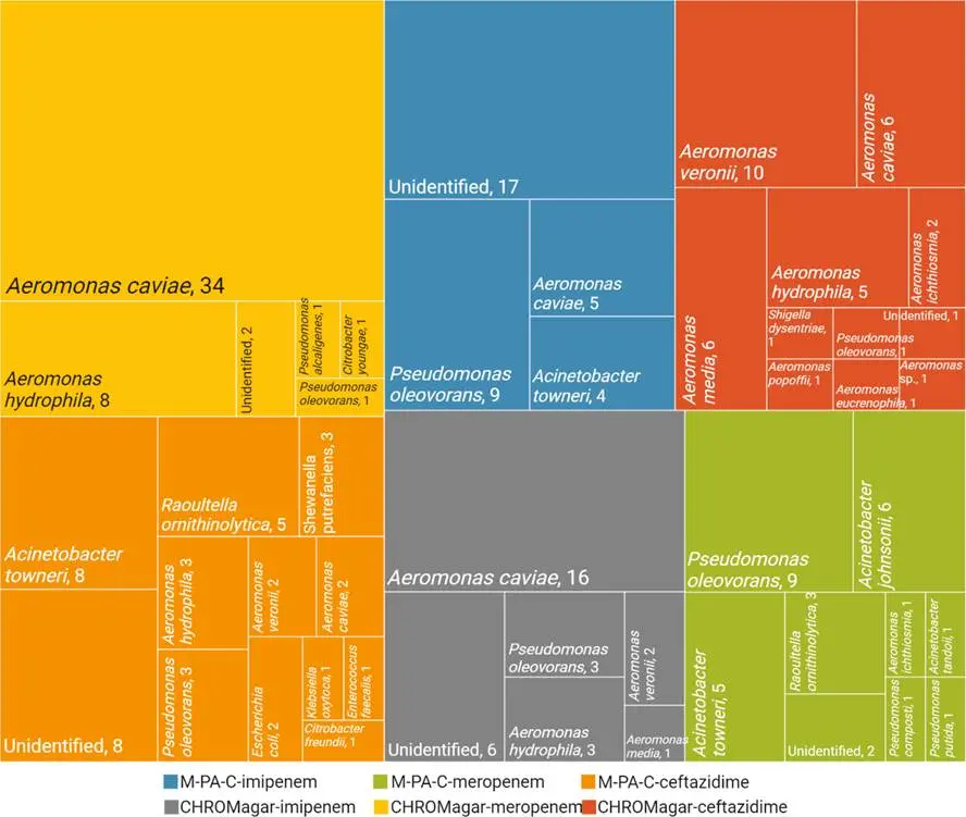 在M-PA-C和CHROMagar废水直接镀层时,配合抗生素进行假阳性物种鉴定 在M-PA-C和CHROMagar废水直接镀层时,配合抗生素进行假阳性物种鉴定