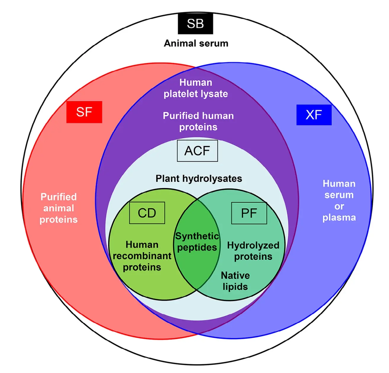 说明细胞培养基分类的示意图