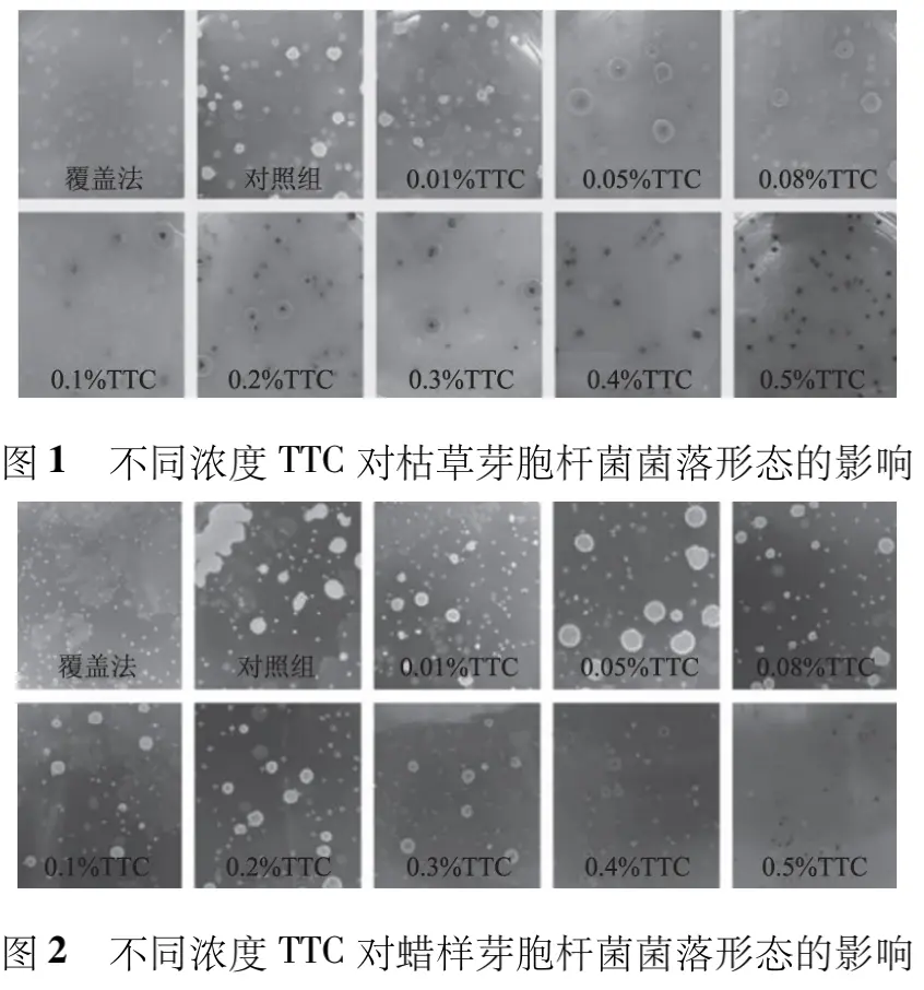 不同浓度 TTC 对枯草芽胞杆菌和蜡样