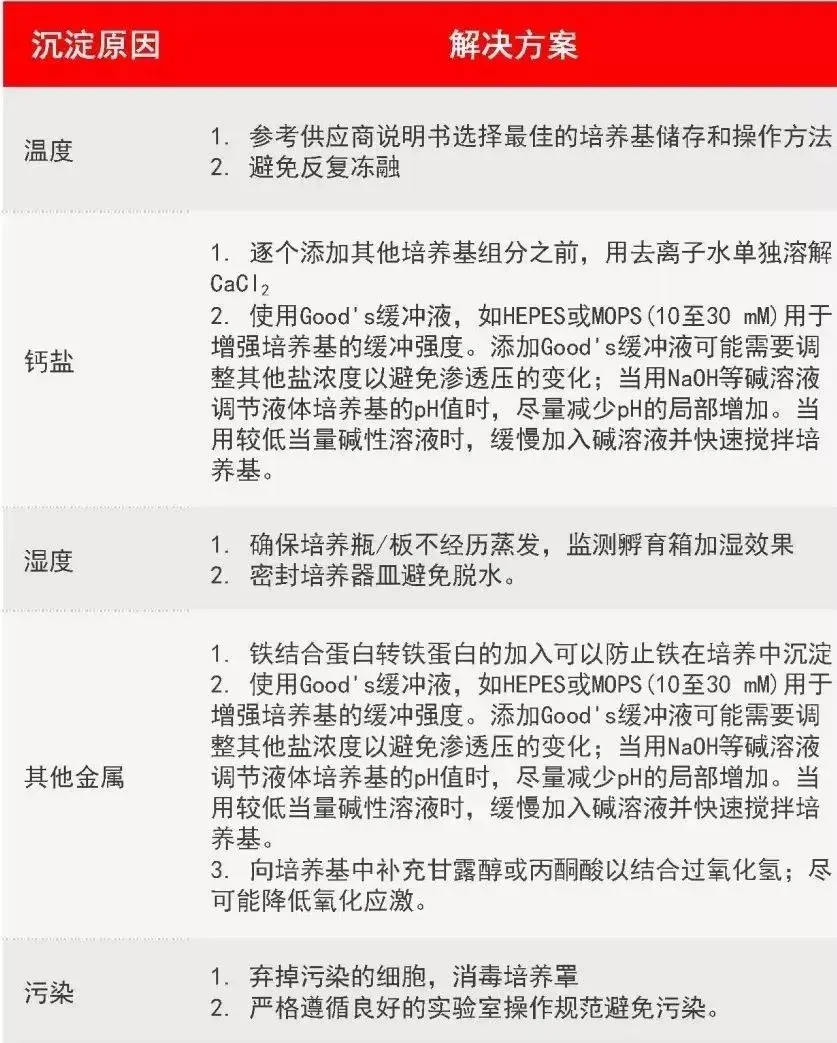 细胞培养沉淀的常见原因和解决方案