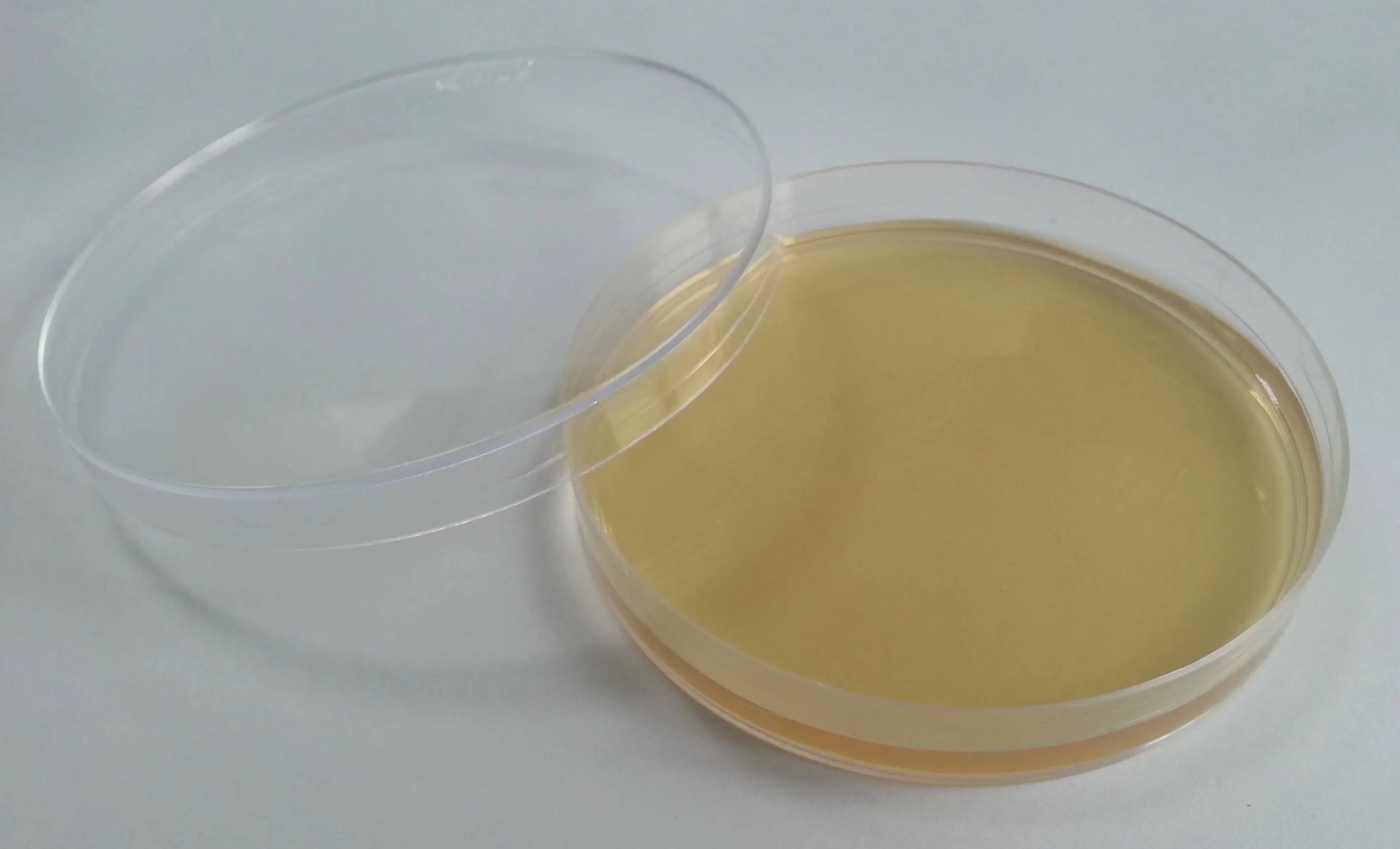 培养基的发展历史 培养基的发展历史