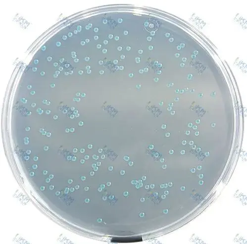 霍乱弧菌培养基（霍乱弧菌菌落特征：绿-蓝色菌落）