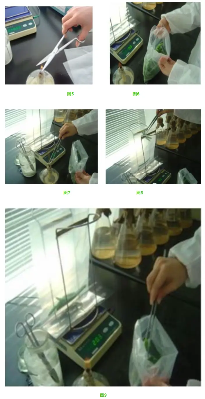 固体样品取样流程