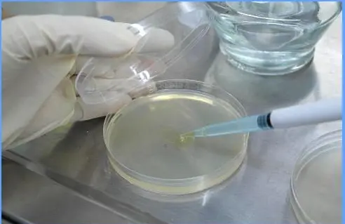 配制溶液 配制溶液