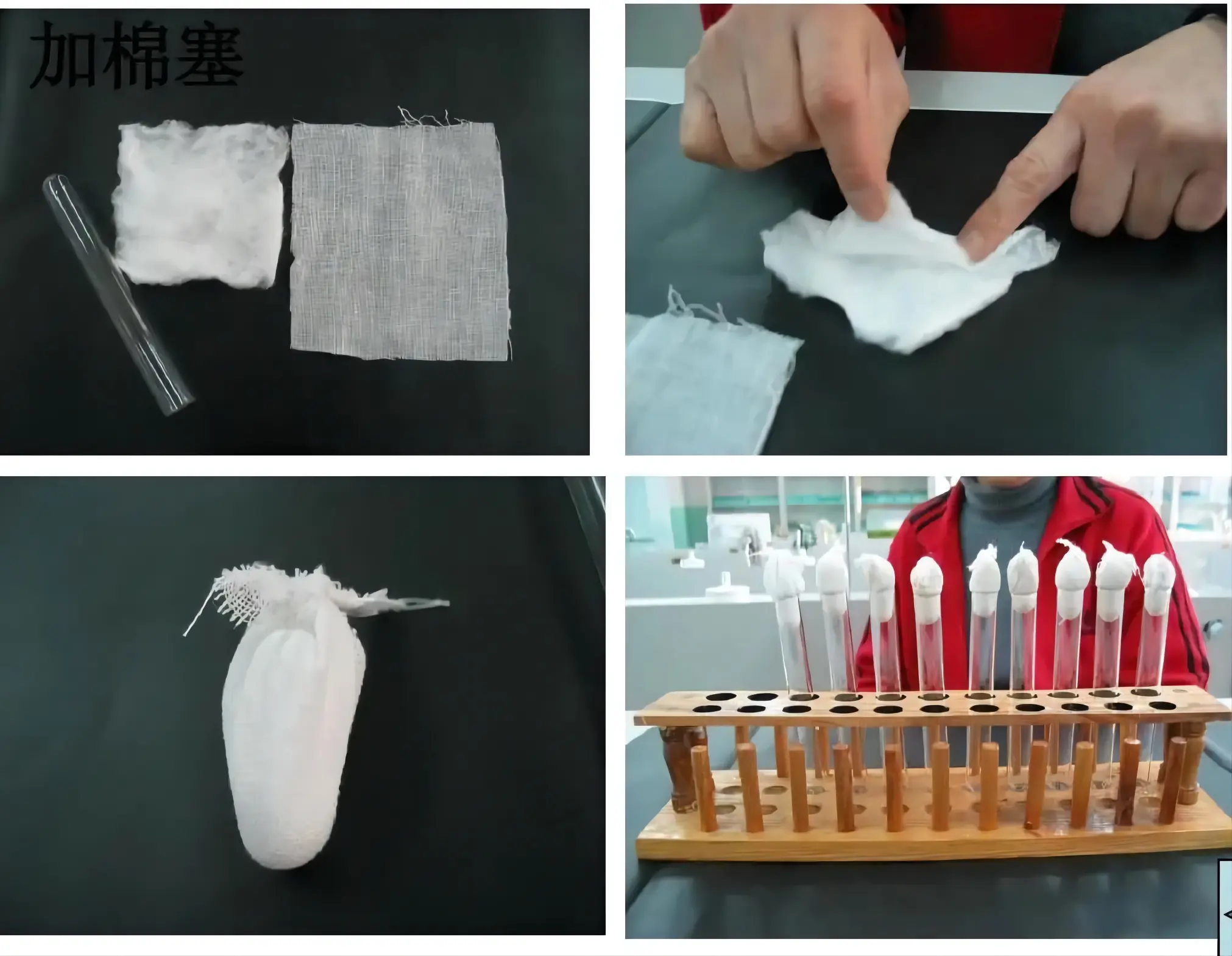 加棉塞 加棉塞
