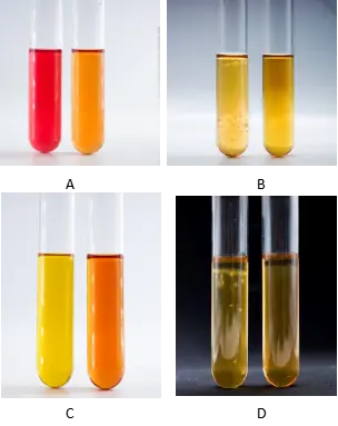 支原体培养基阳性案例展示