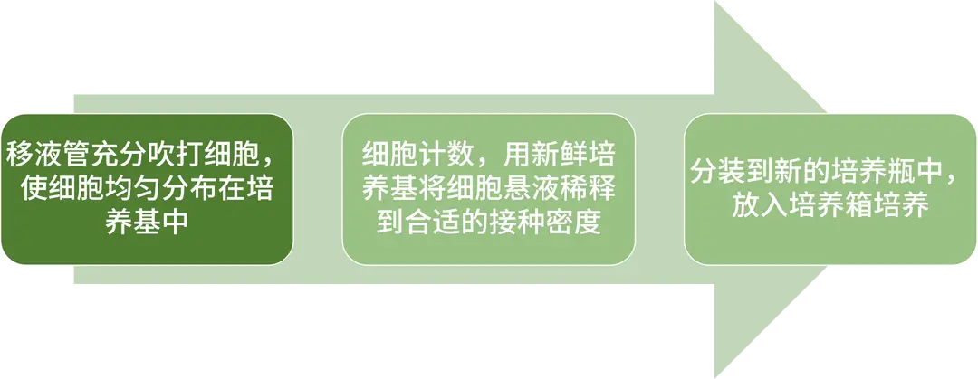 悬浮细胞传代步骤