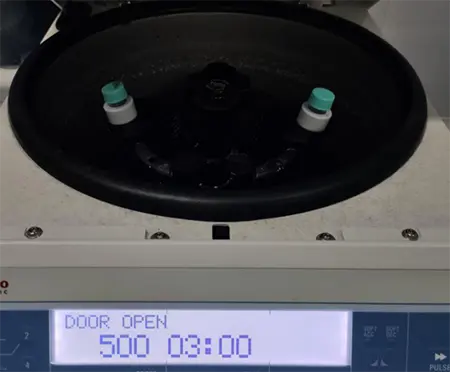 500 rpm细胞离心3min 500 rpm细胞离心3min