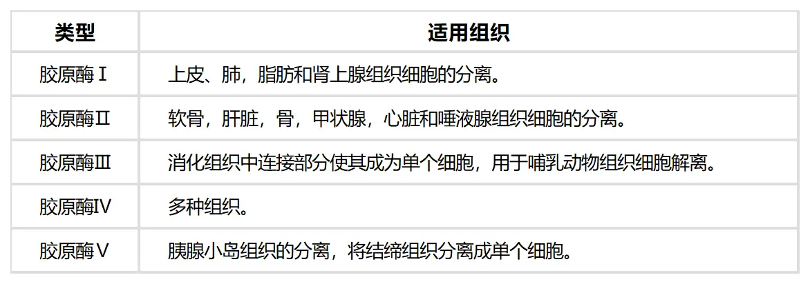 胶原酶 胶原酶