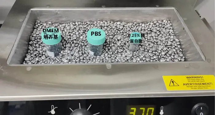 细胞传代图解 细胞传代图解