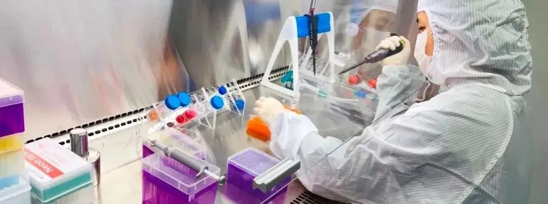 原代细胞培养过程中可能存在的错误