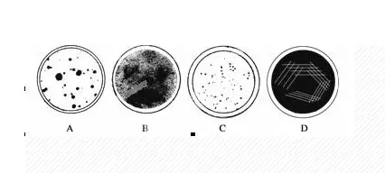 液体接平板 液体接平板