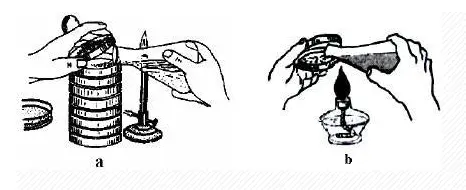 分离菌种 分离菌种