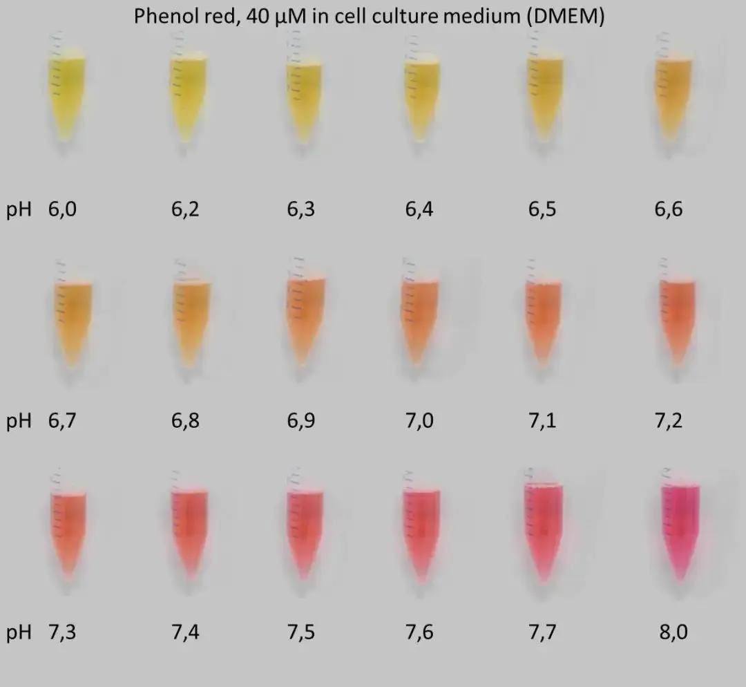 培养液酸碱度（pH）对细胞培养的影响