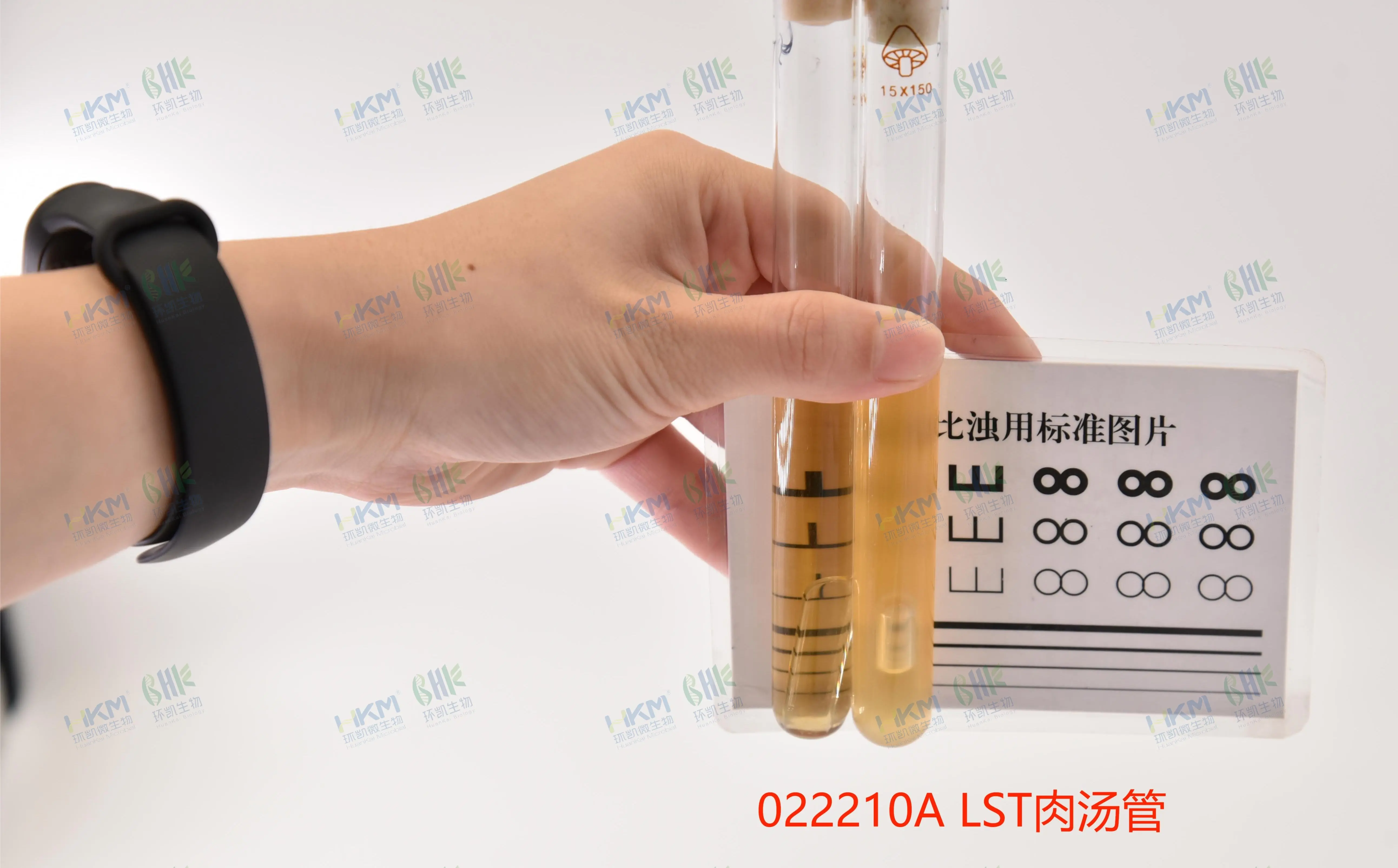 月桂基硫酸盐胰蛋白胨肉汤(LST)培养基质量控制