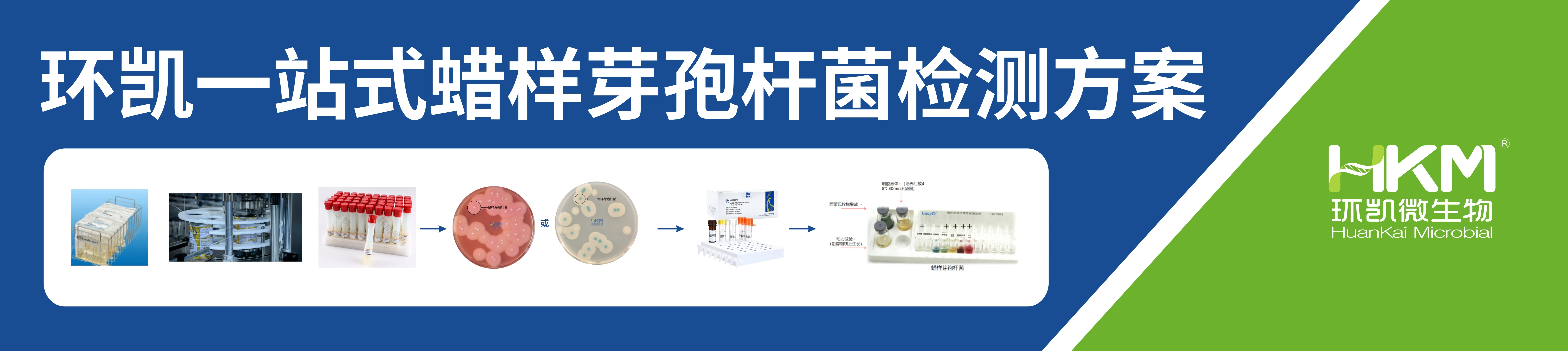 蜡样芽孢杆菌解决方案