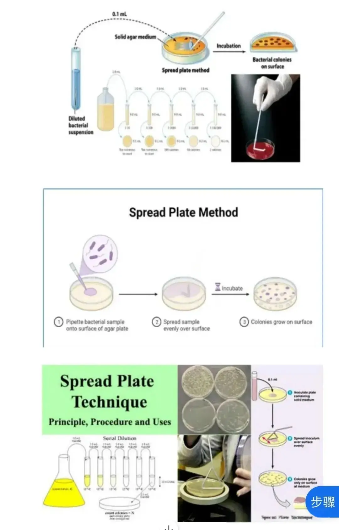 涂布平板法003 涂布平板法003