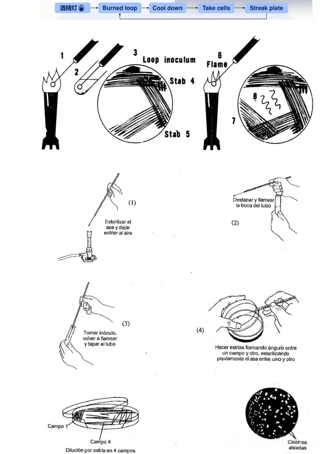 平板划线法003 平板划线法003