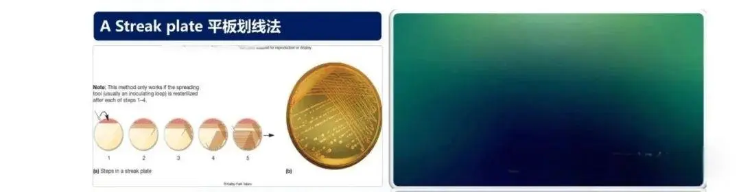 平板划线法001 平板划线法001