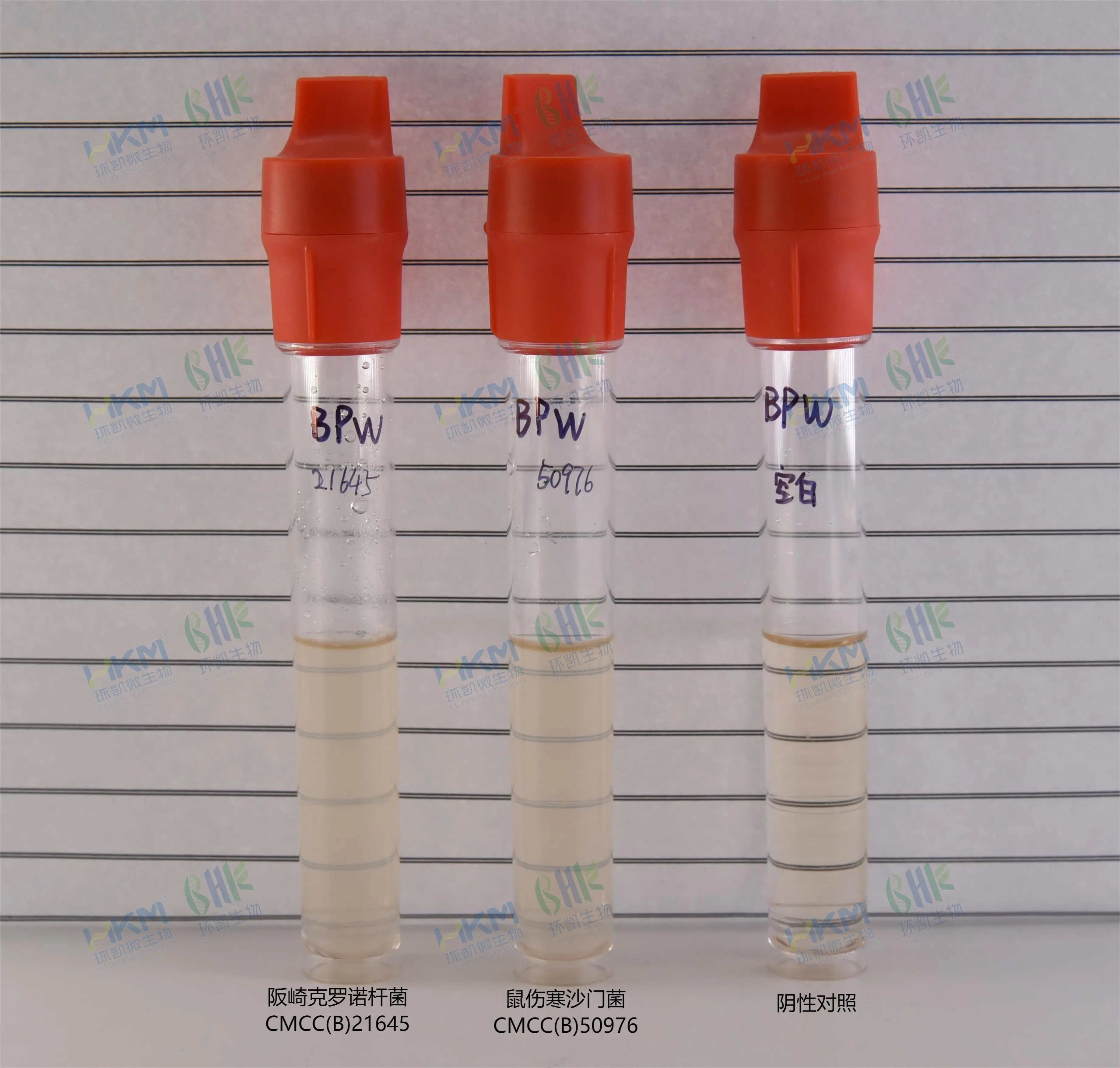 缓冲蛋白胨水(缓冲胨水增菌液)(BPW)质量控制