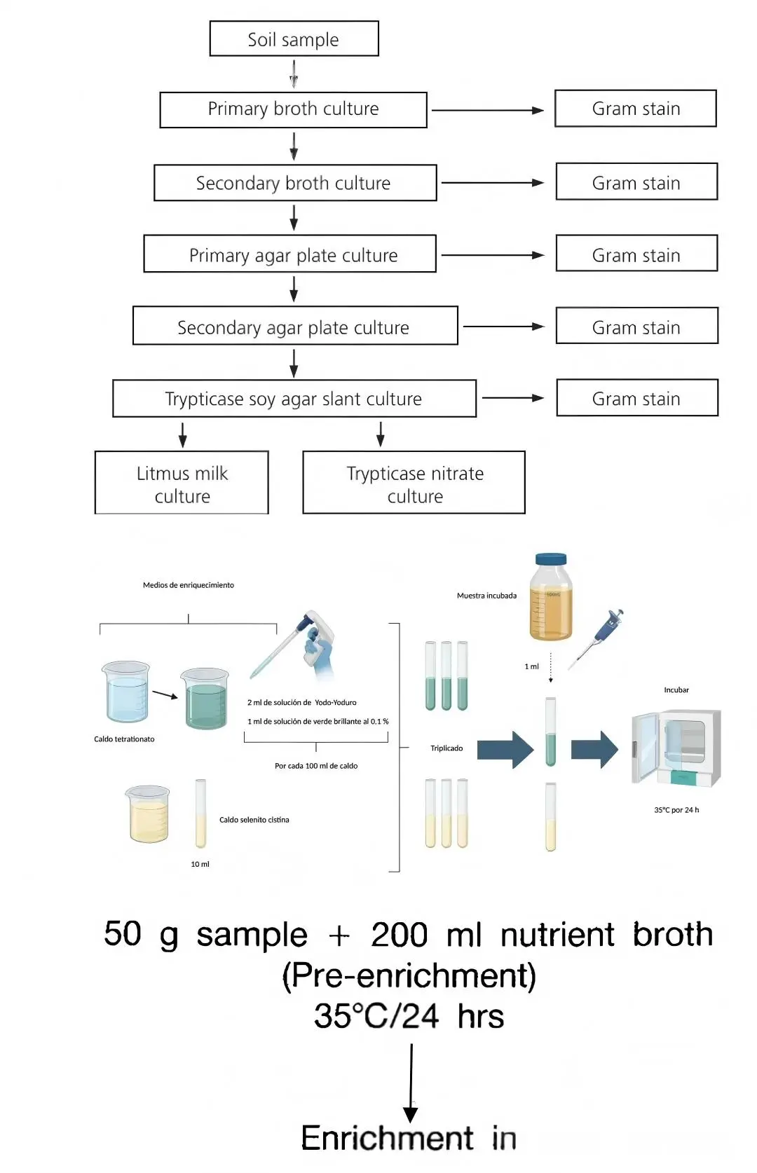 富集培养法 富集培养法
