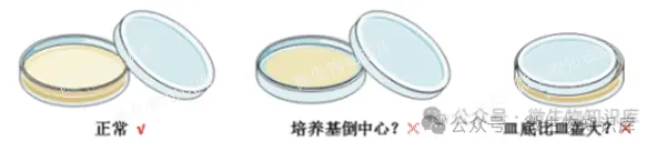 倒平板后怎么盖?怎么倒平板? 倒平板后怎么盖?怎么倒平板?