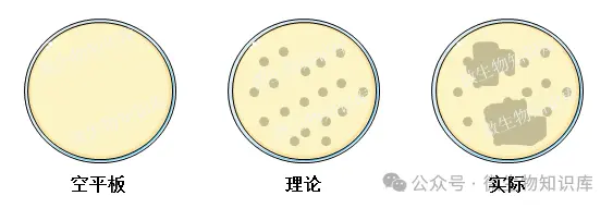 避免冷凝水,便于观察计数 避免冷凝水,便于观察计数