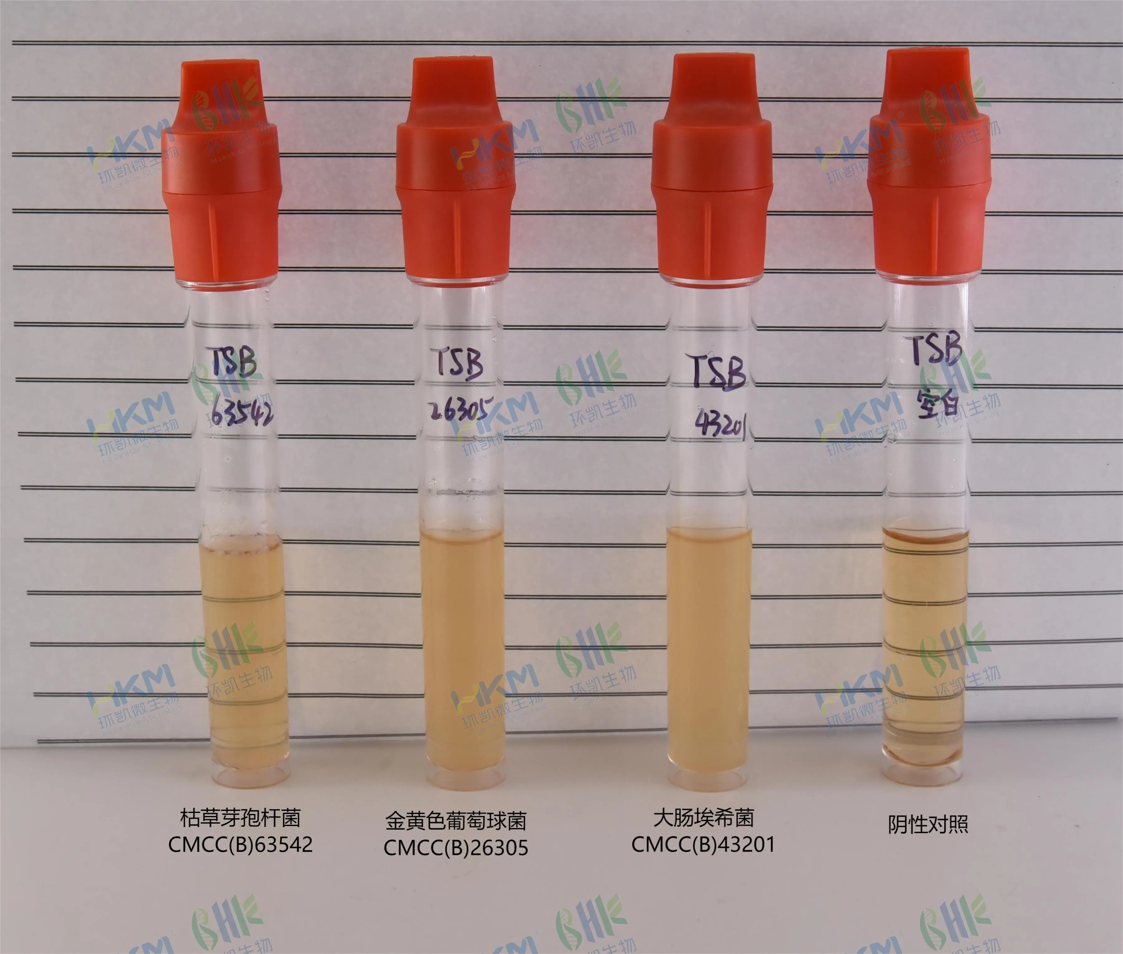 胰酪大豆胨液体培养基(TSB)(中国药典)质量控制